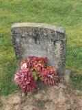 image of grave number 630364